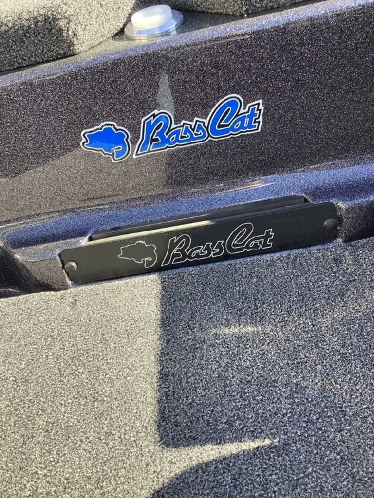 Slide: The Image of Bass Cat Eyra 2026 - 62