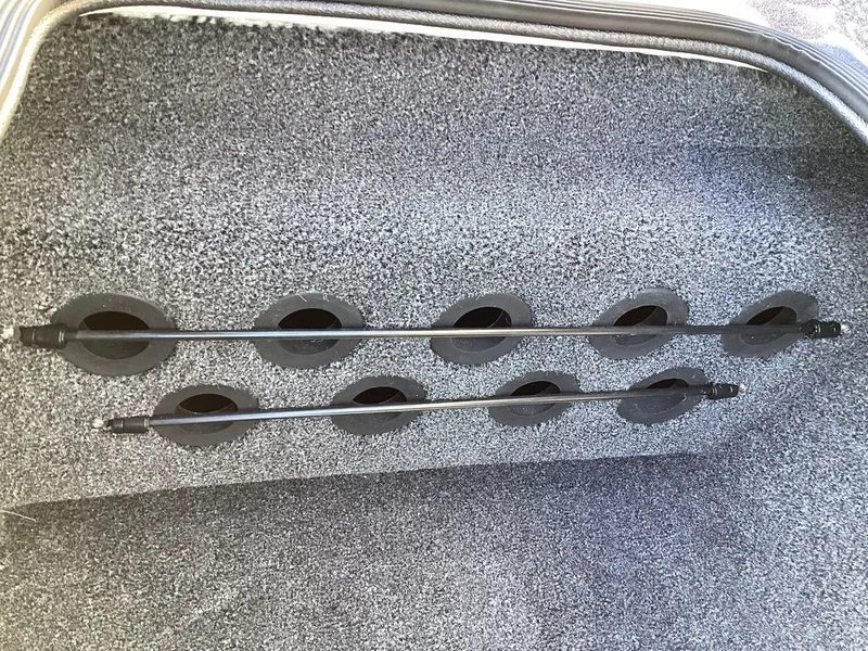 Slide: The Image of Bass Cat Eyra 2026 - 63