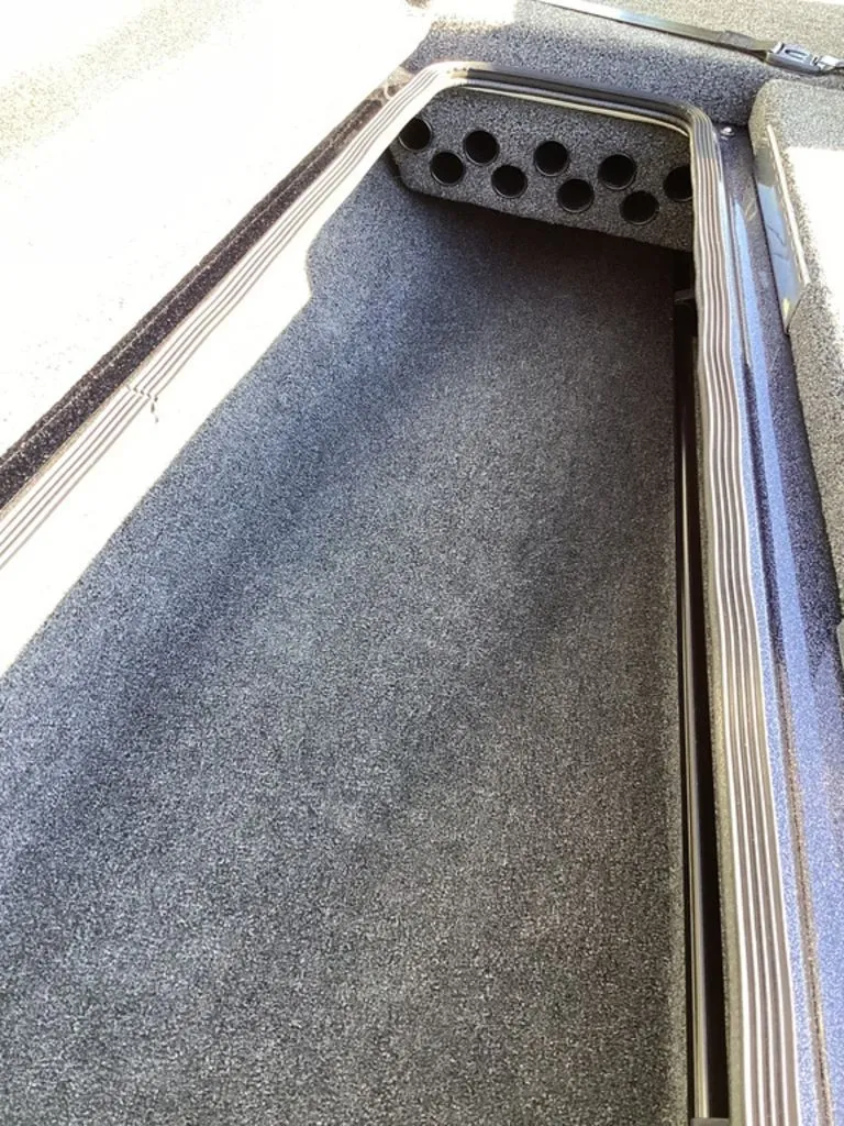 Slide: The Image of Bass Cat Eyra 2026 - 64