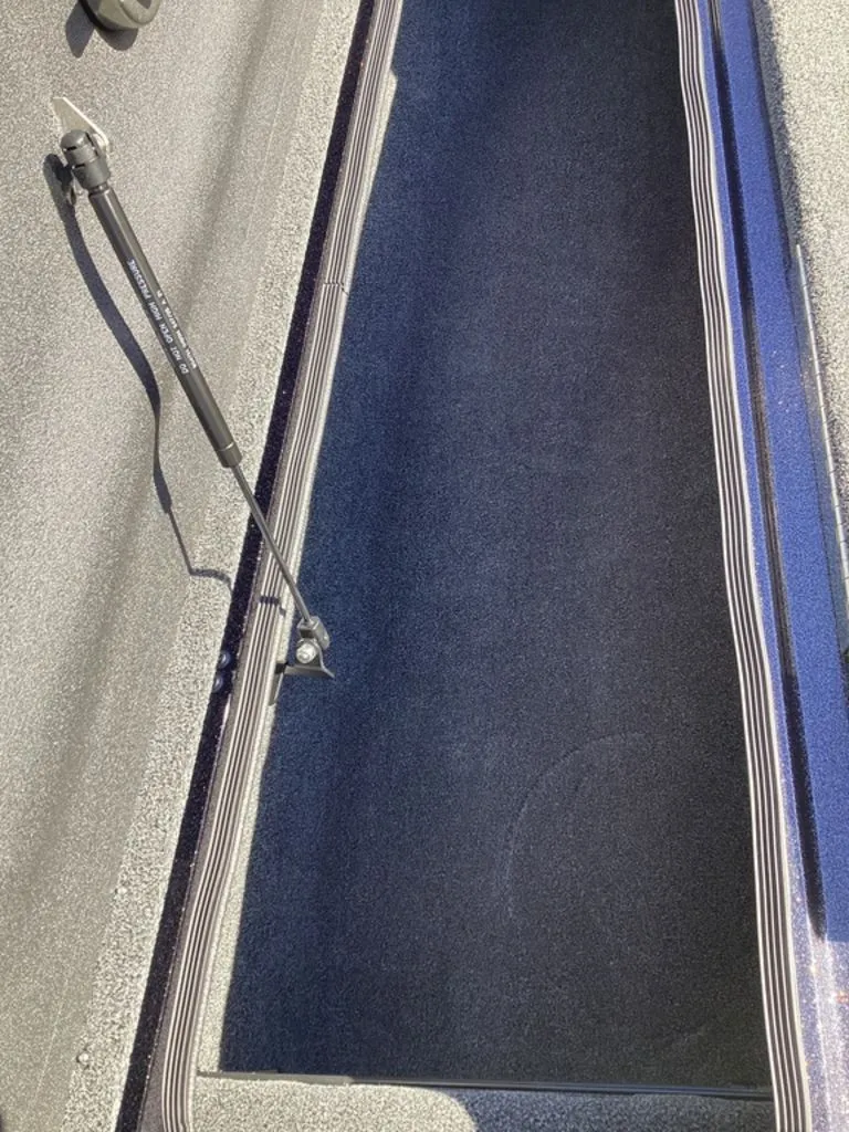 Slide: The Image of Bass Cat Eyra 2026 - 65