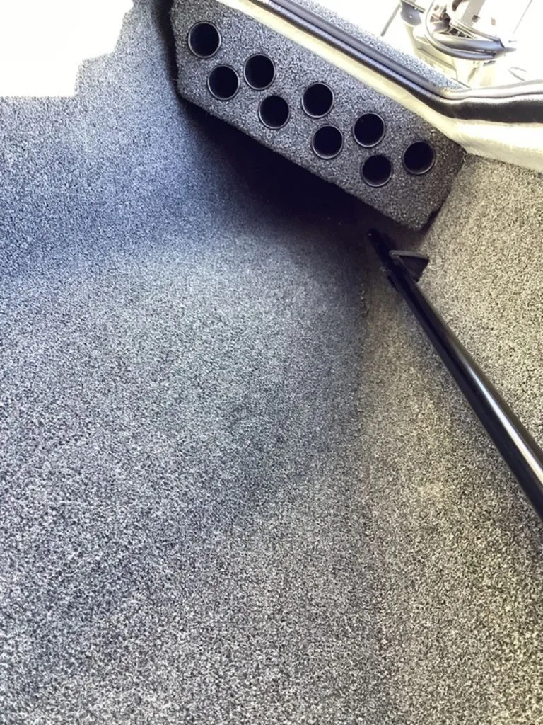 Slide: The Image of Bass Cat Eyra 2026 - 66