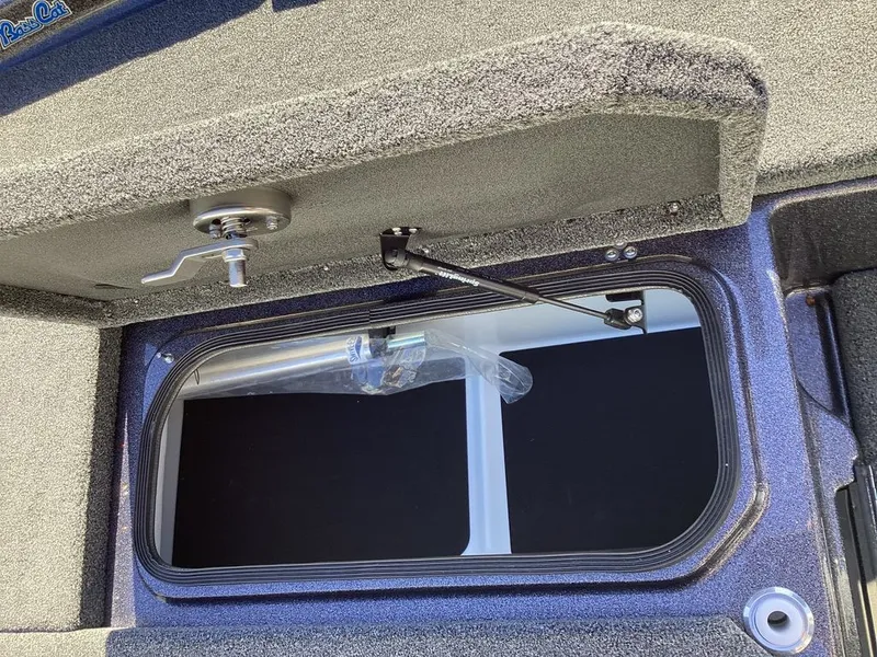 Slide: The Image of Bass Cat Eyra 2026 - 67