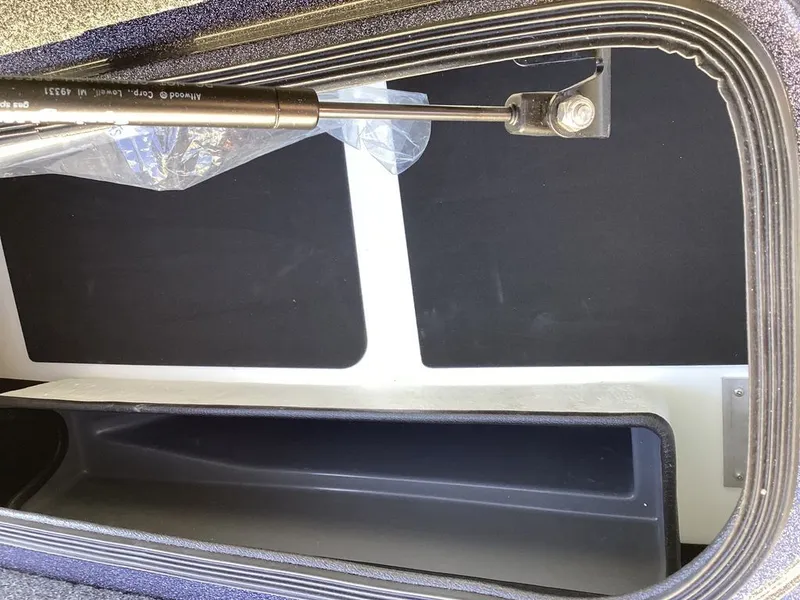 Slide: The Image of Bass Cat Eyra 2026 - 68