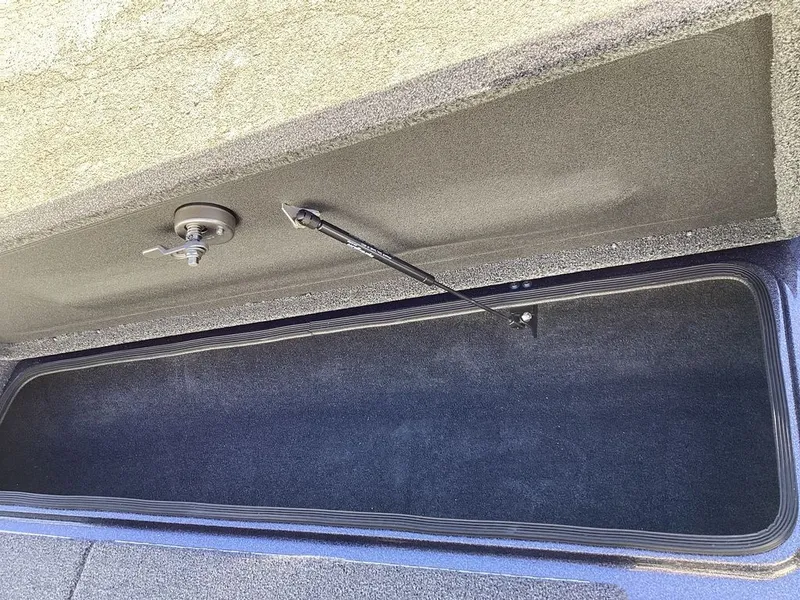 Slide: The Image of Bass Cat Eyra 2026 - 70