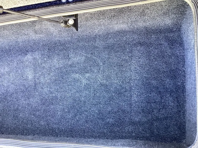 Slide: The Image of Bass Cat Eyra 2026 - 71