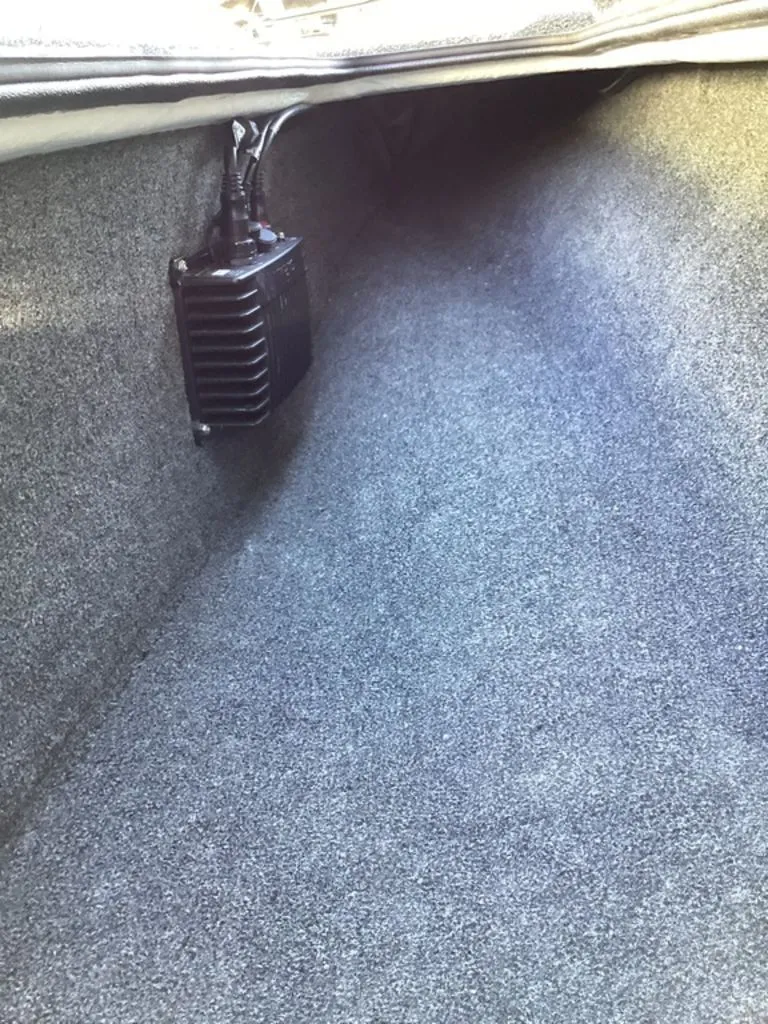 Slide: The Image of Bass Cat Eyra 2026 - 72