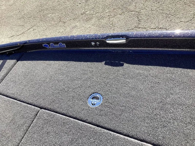 Slide: The Image of Bass Cat Eyra 2026 - 73