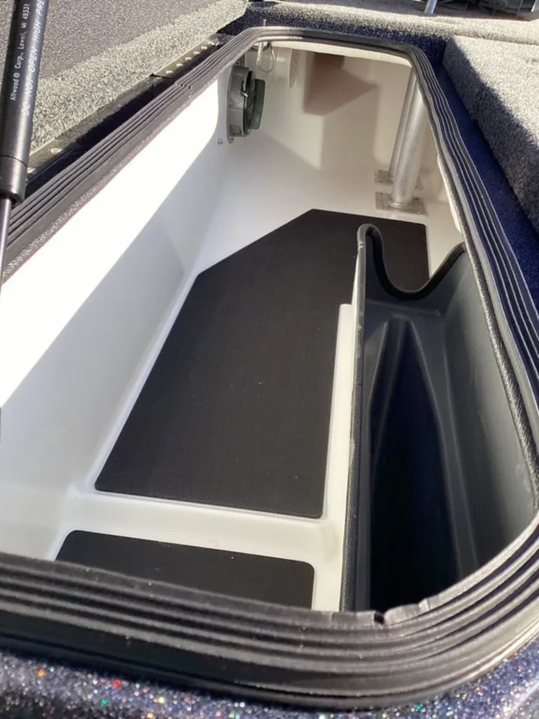 Slide: The Image of Bass Cat Eyra 2026 - 77