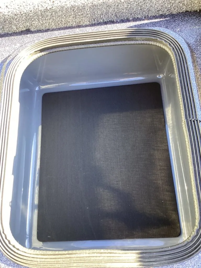 Slide: The Image of Bass Cat Eyra 2026 - 79