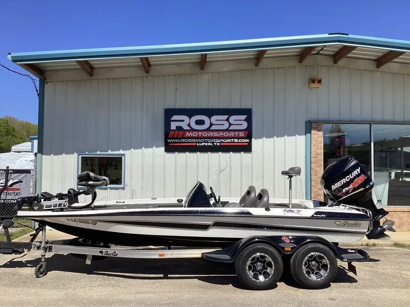 The Image of Bass Cat Pantera II 2016 - 1