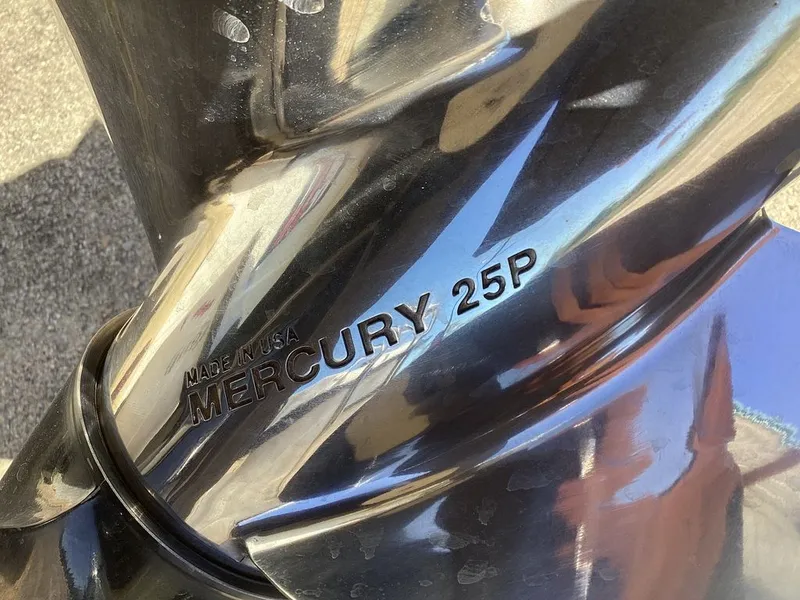 Slide: The Image of Bass Cat Pantera II 2016 - 10