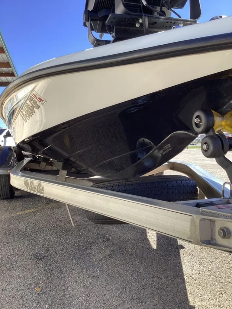 Slide: The Image of Bass Cat Pantera II 2016 - 23