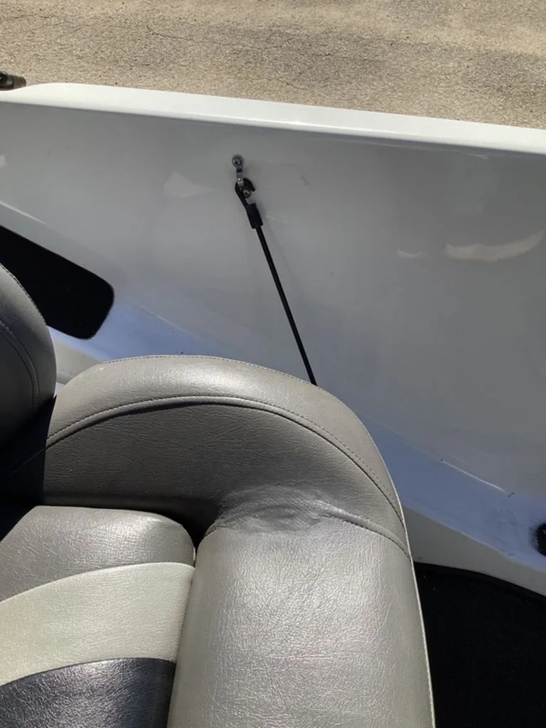 Slide: The Image of Bass Cat Pantera II 2016 - 49