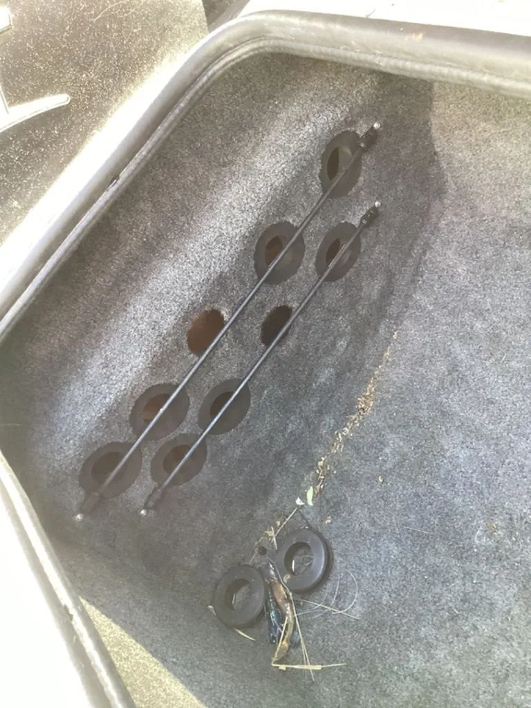 Slide: The Image of Bass Cat Pantera II 2016 - 52