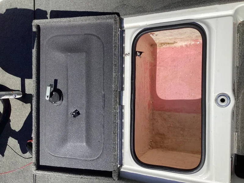 Slide: The Image of Bass Cat Pantera II 2016 - 55