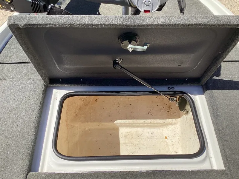 Slide: The Image of Bass Cat Pantera II 2016 - 56