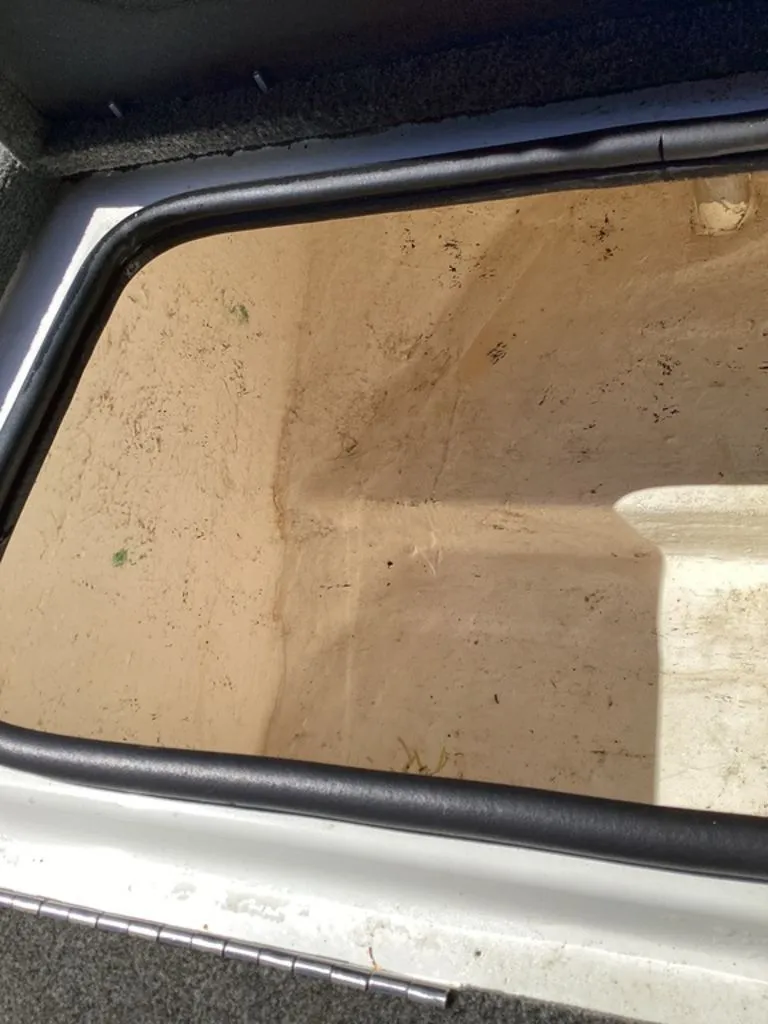 Slide: The Image of Bass Cat Pantera II 2016 - 59