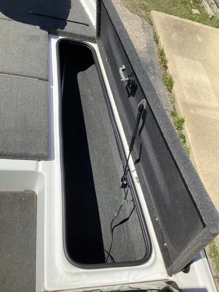 Slide: The Image of Bass Cat Pantera II 2016 - 62