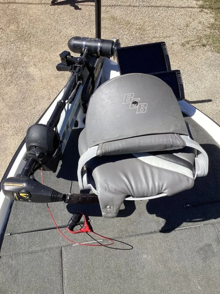 Slide: The Image of Bass Cat Pantera II 2016 - 67