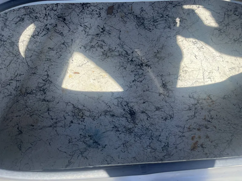 Slide: The Image of CCB FURY FURY 2020 - 14