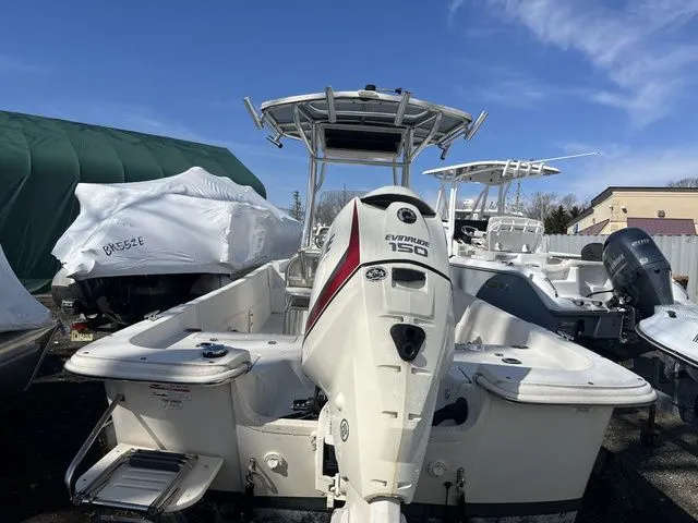 Slide: The Image of Carolina 238 DLV 2017 - 3