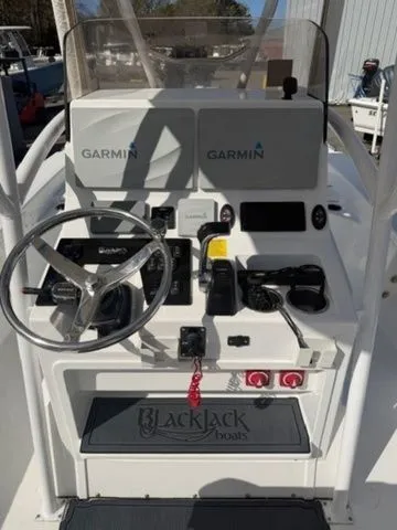 Slide: The Image of Blackjack 256 2018 - 11