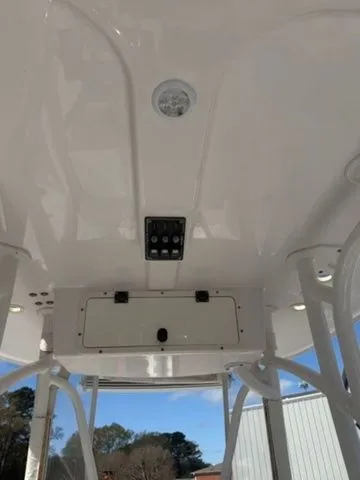 Slide: The Image of Blackjack 256 2018 - 15