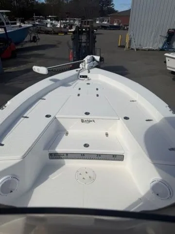 Slide: The Image of Blackjack 256 2018 - 5