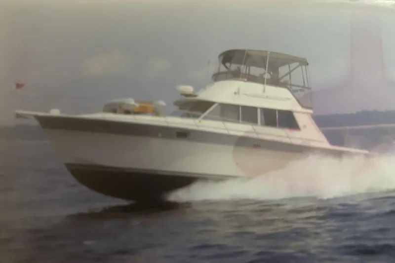 The Image of Silverton 37 Convertible 1988 - undefined