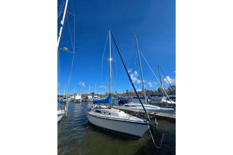 Slide: The Image of 1985 O'Day 31 sailboat docked in a marina under a clear blue sky. - 5