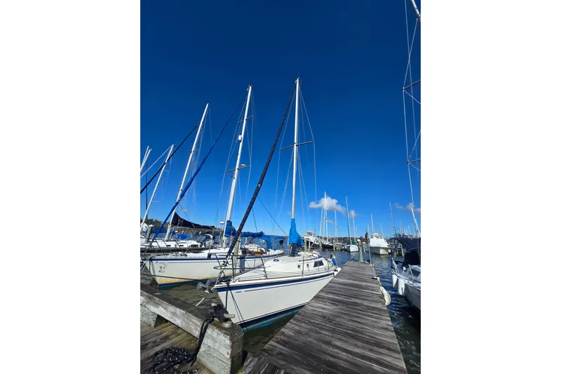 Slide: The Image of Sailboats docked at marina, featuring a 1985 O'Day 31 under clear blue skies. - 6