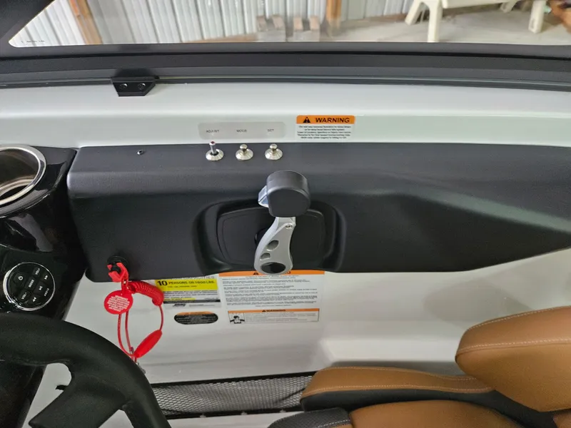 Slide: The Image of Scarab 215 ID T170 2025 - 12