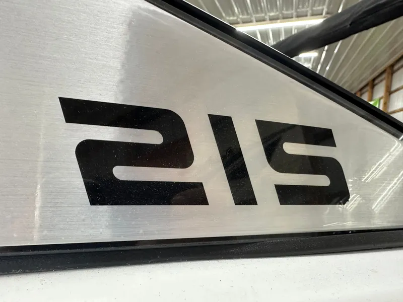 Slide: The Image of Scarab 215 ID T170 2025 - 13