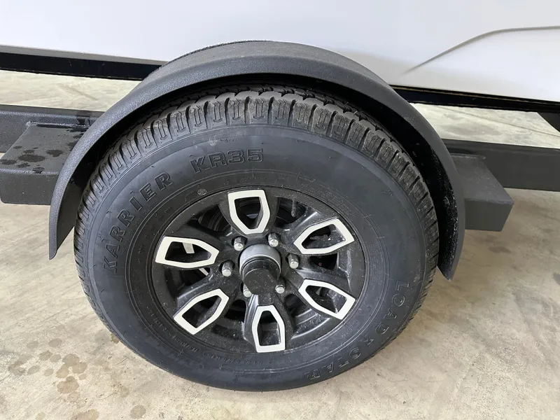 Slide: The Image of Scarab 215 ID T170 2025 - 14