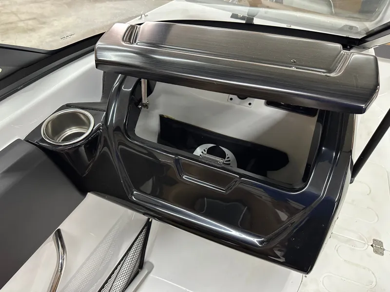 Slide: The Image of Scarab 215 ID T170 2025 - 15