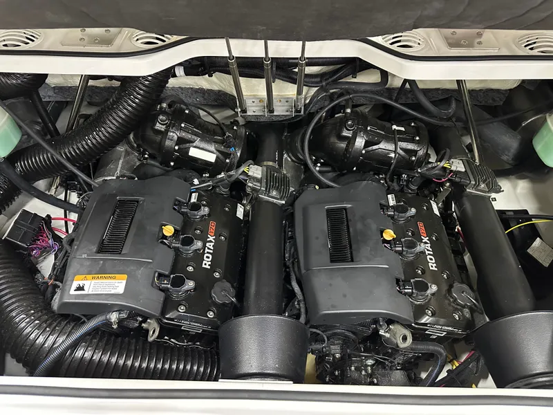 Slide: The Image of Scarab 215 ID T170 2025 - 17