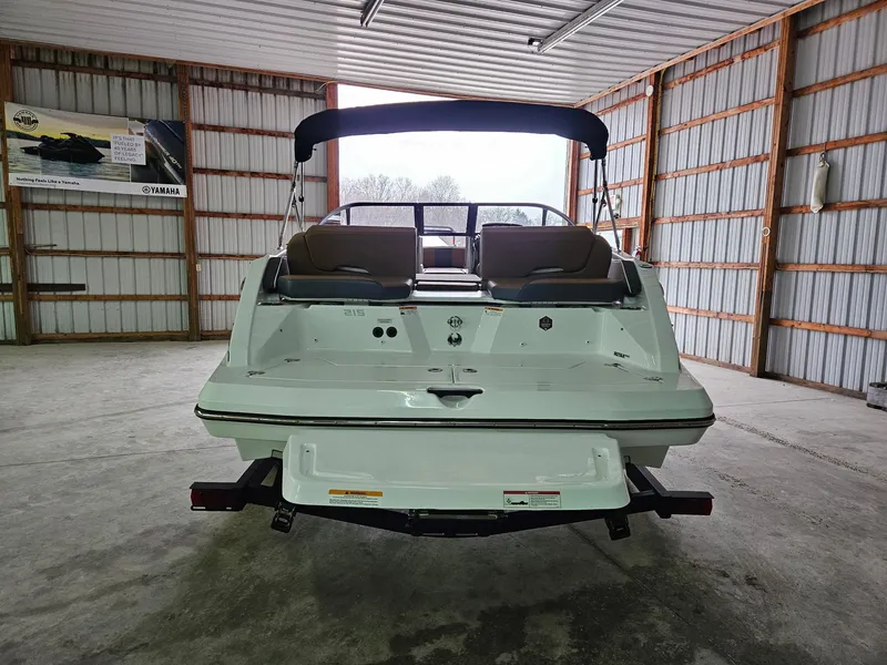 Slide: The Image of Scarab 215 ID T170 2025 - 2