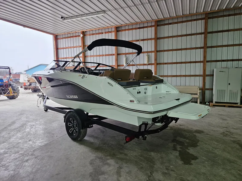 Slide: The Image of Scarab 215 ID T170 2025 - 3