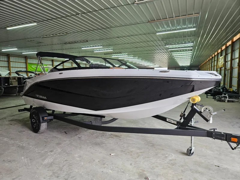 Slide: The Image of Scarab 215 ID T170 2025 - 4