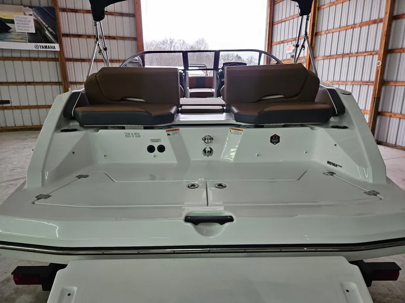 Slide: The Image of Scarab 215 ID T170 2025 - 6