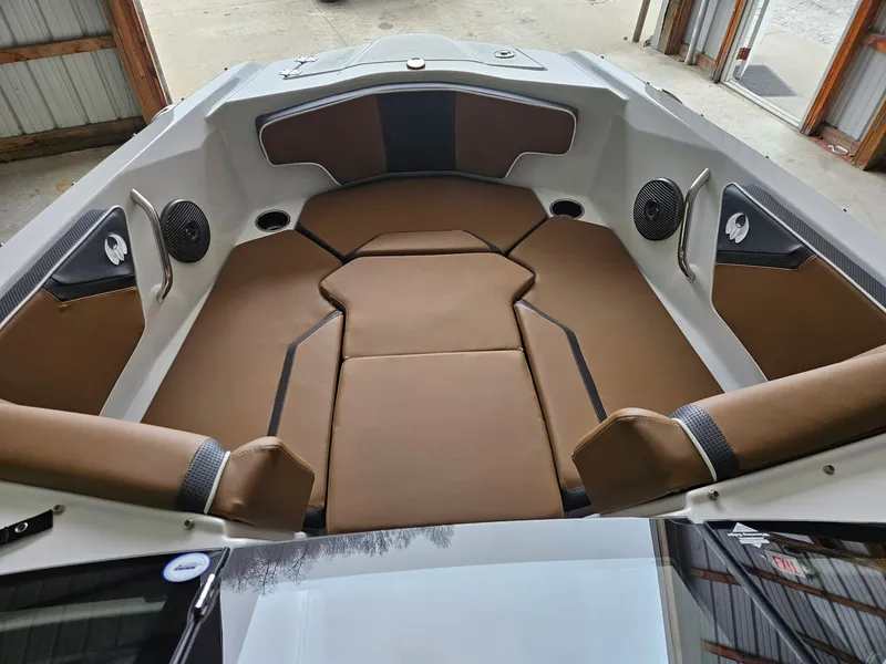 Slide: The Image of Scarab 215 ID T170 2025 - 9