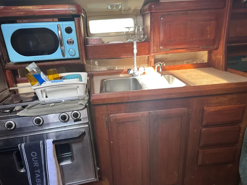 Slide: The Image of Hunter Vision 36 1993 - 23