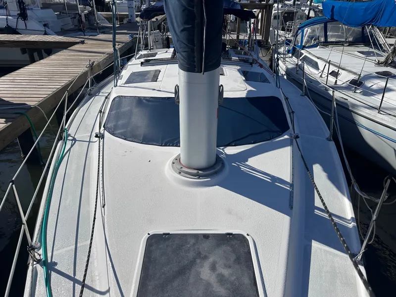 Slide: The Image of Hunter Vision 36 1993 - 6