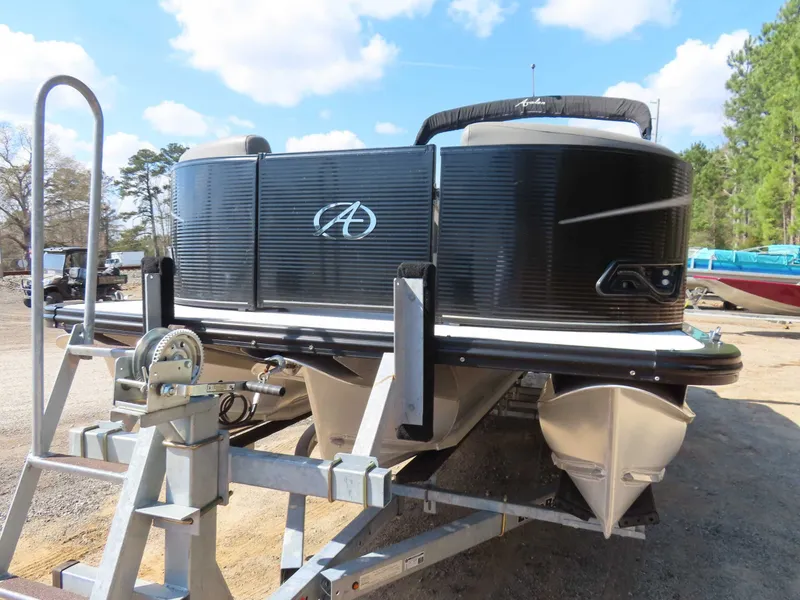 Slide: The Image of Avalon LSZ 2485 2020 - 11