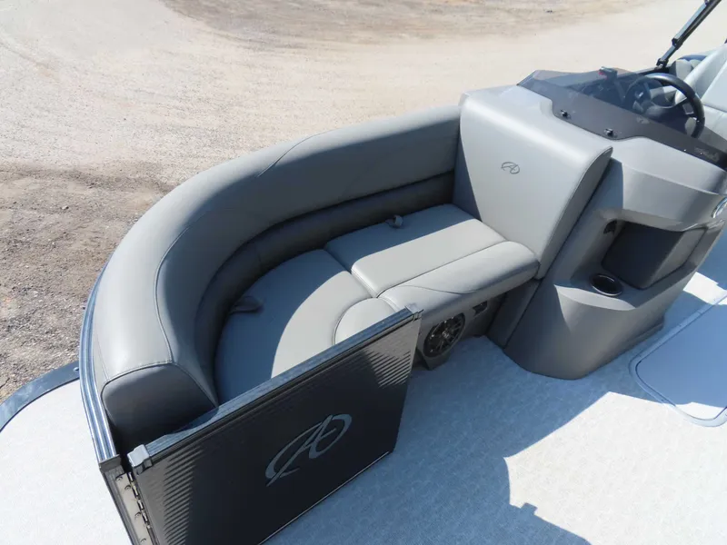 Slide: The Image of Avalon LSZ 2485 2020 - 13