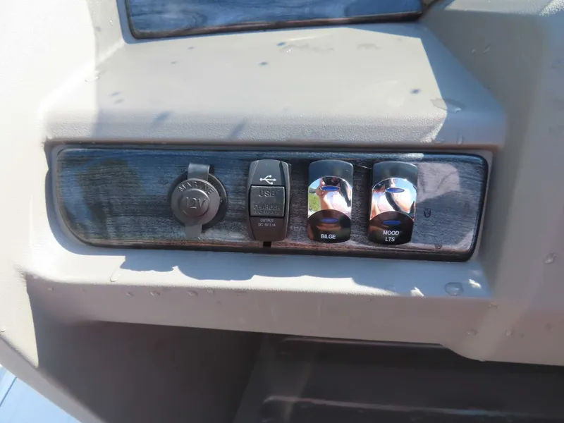 Slide: The Image of Avalon LSZ 2485 2020 - 20