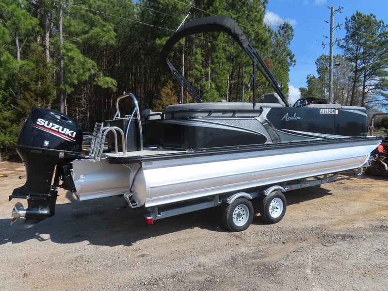 Slide: The Image of Avalon LSZ 2485 2020 - 3