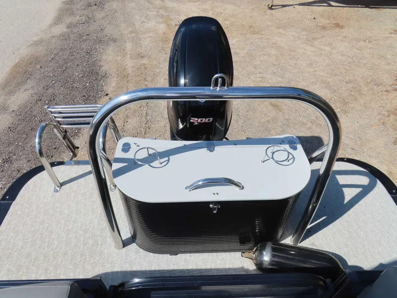 Slide: The Image of Avalon LSZ 2485 2020 - 31