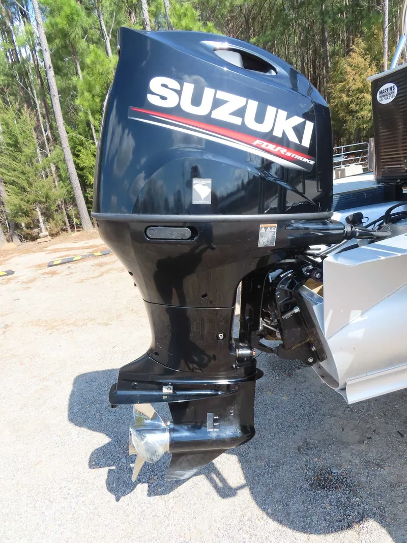 Slide: The Image of Avalon LSZ 2485 2020 - 4