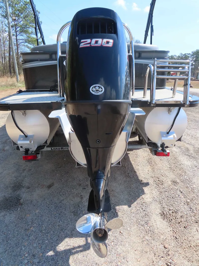 Slide: The Image of Avalon LSZ 2485 2020 - 5